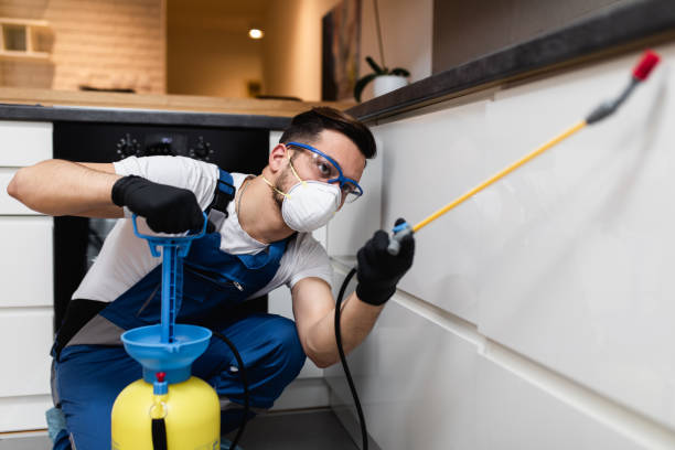 Best Local Pest Control Services  in Lakes West, CT