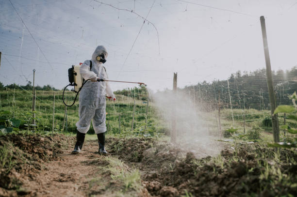 Best Affordable Pest Control Services  in Lakes West, CT