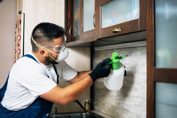 Best Pest Inspection Near Me  in Lakes West, CT