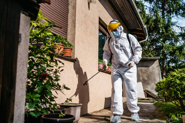Pest Prevention Services in Lakes West, CT