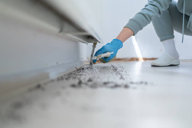 Best Wildlife Control Services  in Lakes West, CT