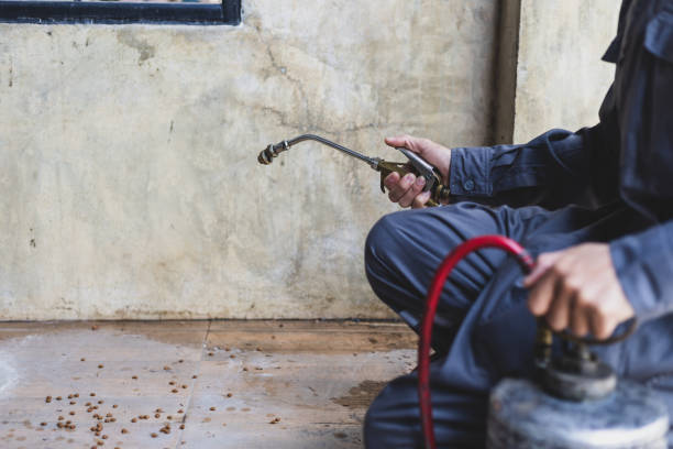 Best Termite Control Services  in Lakes West, CT